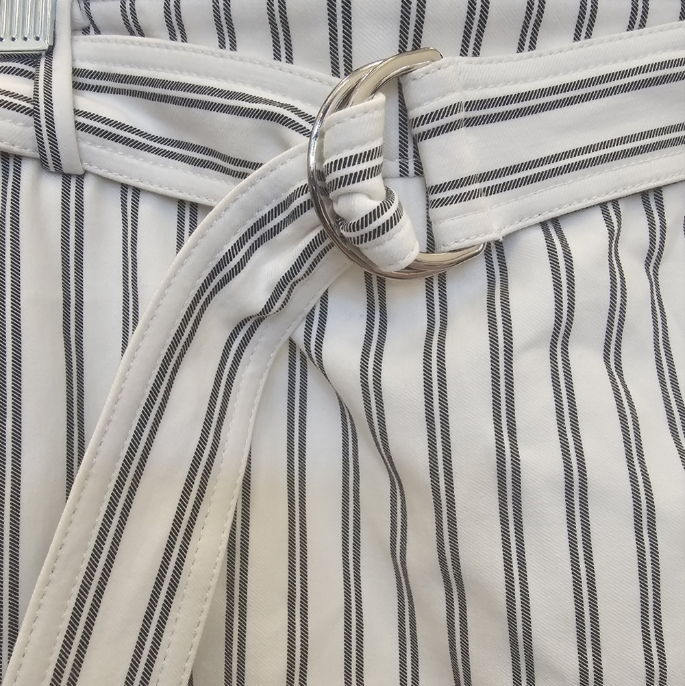 Ann Taylor, pinstripe, office, travel, vacation, casual, belt, streetwear - Picture 2 of 5